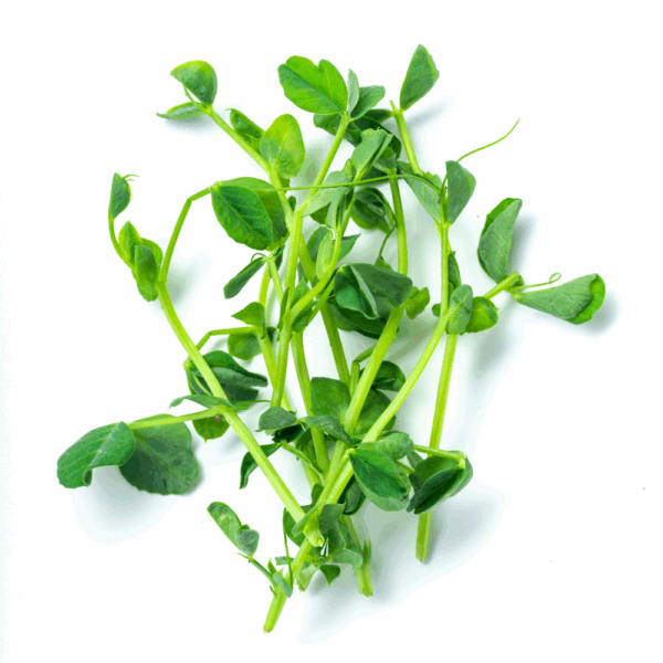Pois salade